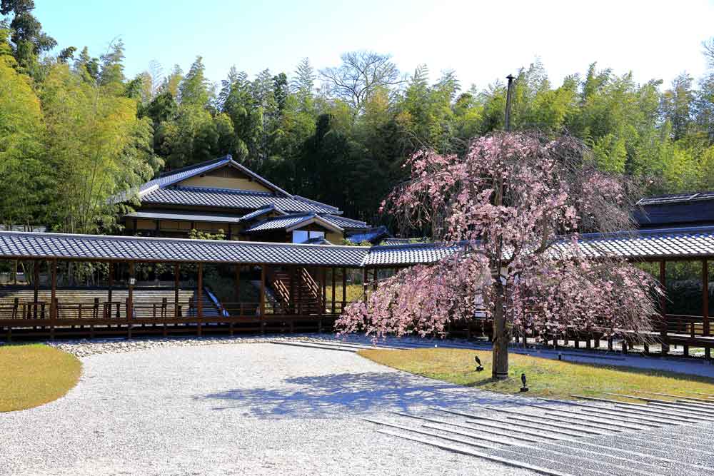 普門園 園庭